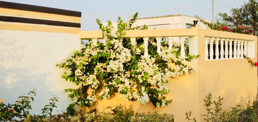 Royal Meadows - Igatpuri Bungalow B Esterno foto